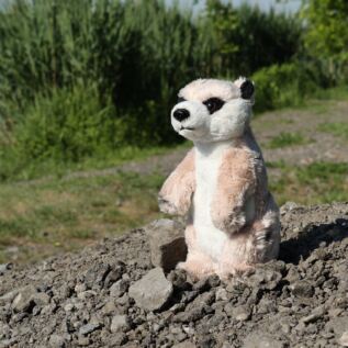 Plyšová surikata 14 cm ECO-FRIENDLY