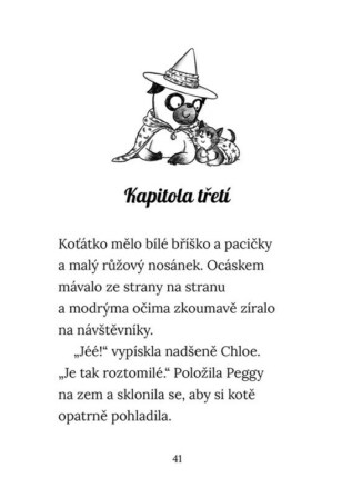 Ukázka