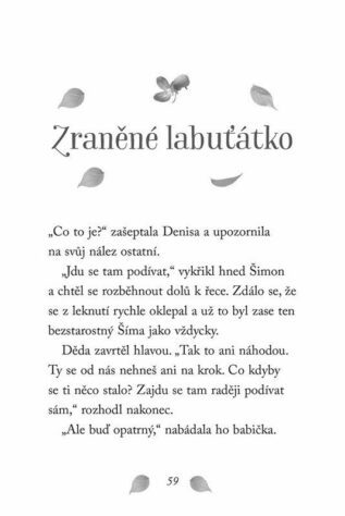 Ukázka