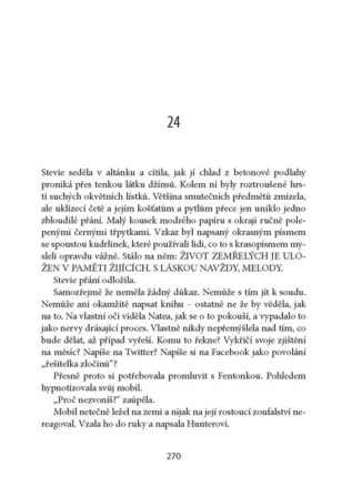 Ukázka