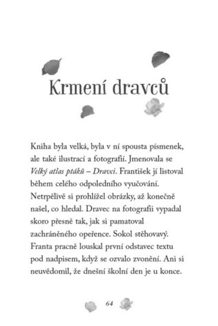 Ukázka