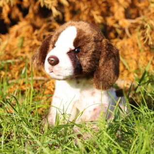 Plyšový pes německý ohař 24 cm ECO-FRIENDLY