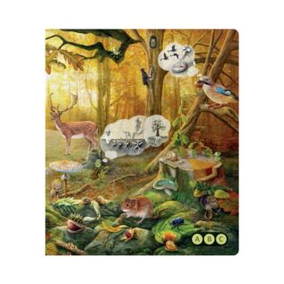 Albi Kniha Hravá přírodověda Kouzelné čtení