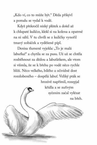 Ukázka