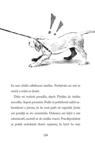 Ukázka