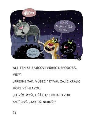 Ukázka