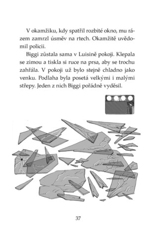 Ukázka