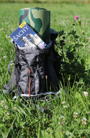 efko Šachy - společenská hra na cesty