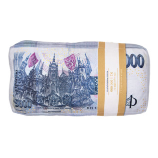 3D polštář Bankovky