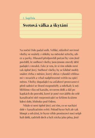 Ukázka