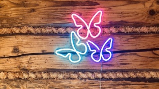 2Kids Toys LED NEON LIGHT lampička Motýli