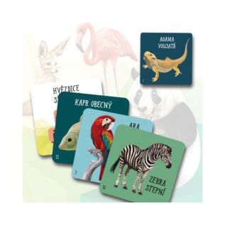 Chytré kostky - Zvířata
