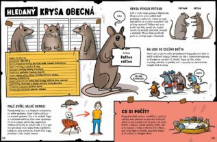Ukázka
