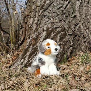 Plyšový pes Australský ovčák 23 cm ECO-FRIENDLY