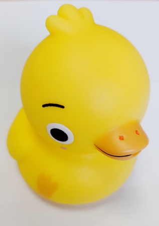 Kačátko Gaga a kamarádi z rybníka