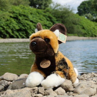 Plyšový divoký pes hyenovitý 35 cm ECO-FRIENDLY