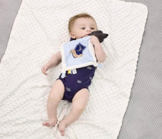 Rainbow Harry Potter Plyšový muchláček Havraspár