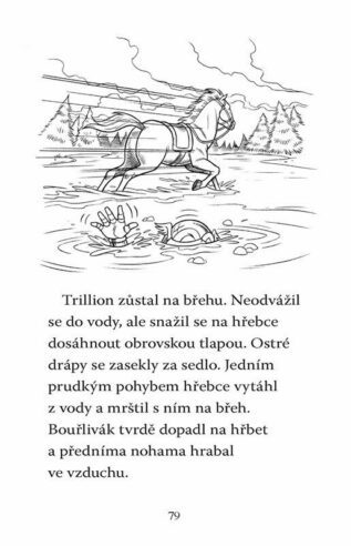 Ukázka