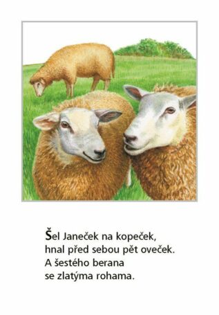 Ukázka