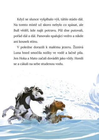 Ukázka