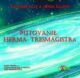 Putovanie Herma Tresmagistra (e-kniha)