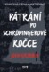 Pátrání po Schrödingerově kočce