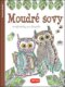 Moudré sovy - Omalovánky pro dospělé