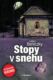Stopy v snehu (e-kniha)