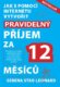 Pravidelný příjem za 12 měsíců