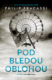 Pod bledou oblohou (e-kniha)