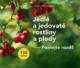 Jedlé a jedovaté rostliny a plody