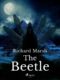 The Beetle (e-kniha)