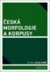 Česká morfologie a korpusy (e-kniha)