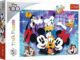 Puzzle Disney 100 let Zábava v Disney Worldu
