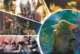 Trefl Puzzle Star Wars - The Mandalorian: Baby Yoda / 100 dílků