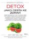 Mystický léčitel: Detox jako cesta ke zdraví (e-kniha)
