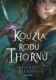Kouzla rodu Thornů (e-kniha)