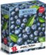 Puzzle Botany: Nádherné borůvky 350 dílků