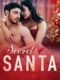 Secret Santa – Erotic Christmas Story (e-kniha)
