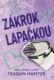Zákrok lapačkou (e-kniha)