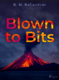 Blown to Bits (e-kniha)