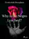 Why is the Negro Lynched? (e-kniha)