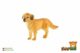 Retrívr zlatý - pes domácí zooted plast 10cm v sáčku