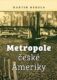 Metropole české Ameriky (e-kniha)