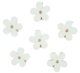 Dřevěné kytky 4cm s kolíčkem - bílé 6ks