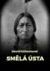 Smělá ústa (e-kniha)