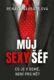 Můj sexy šéf (e-kniha)