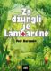 Za džunglí je Lambaréné (e-kniha)