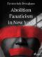Abolition Fanaticism in New York (e-kniha)