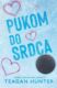 Pukom do srdca (e-kniha)